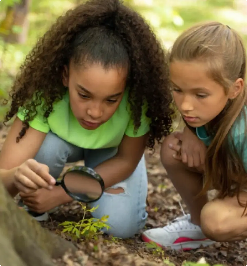 01_Carrossel_Movimento